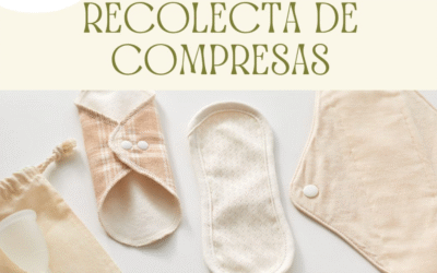 🌍 ¡Empezamos el proyecto en Kenia! Un paso más por el empoderamiento femenino global